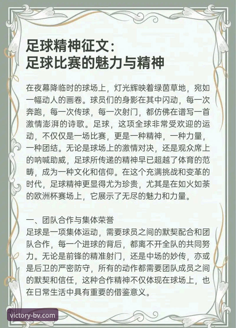 资深用户亲授：一份超详细的伟德体育官网使用心得与实战指南